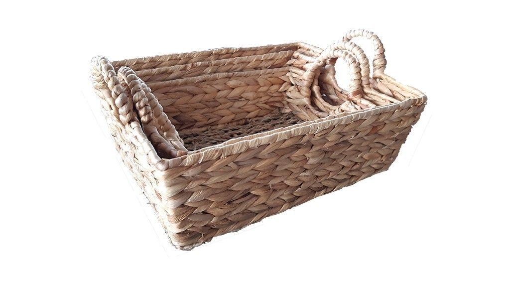 Bandejas de enea - base de alga 26x19x12cm