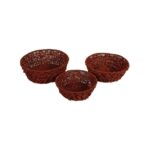 Panera seagrass Roja