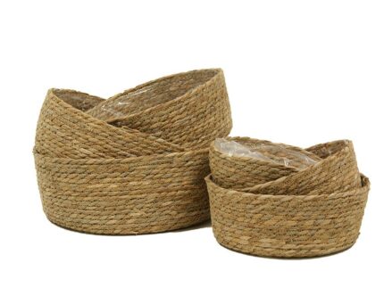 Cesto seagrass