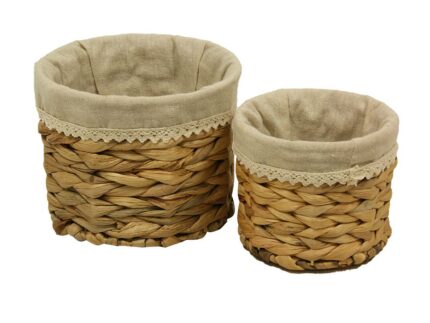 Cesto enea Forro