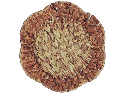 Cesta enea G