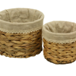Cesto enea Forro