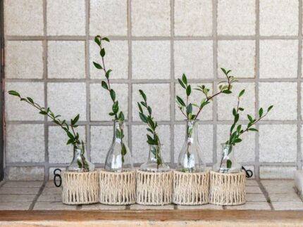 Jarron Set 5 Cristal fibra