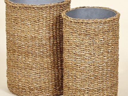 Paragüero seagrasss