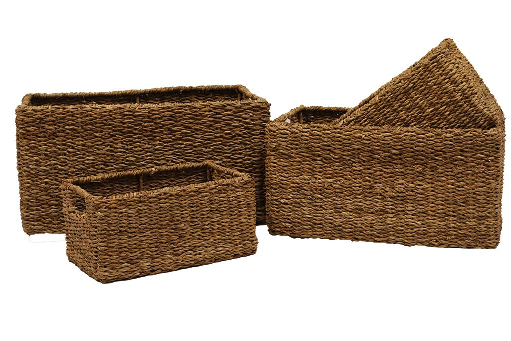 Cajonera seagrass