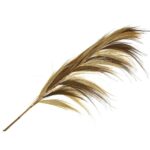 Plumero rayung bambu natural