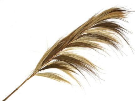 Plumero rayung bambu natural