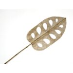 Palma monstera pandano bambu natural