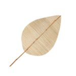 Hoja de palma bambo natural.