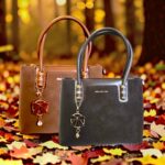 Bolso Paula Rossi